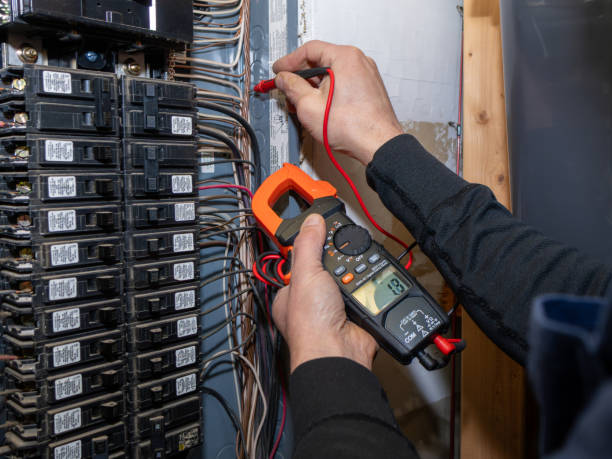 Best Electrician for Home Renovation  in Zephyrhills North, FL